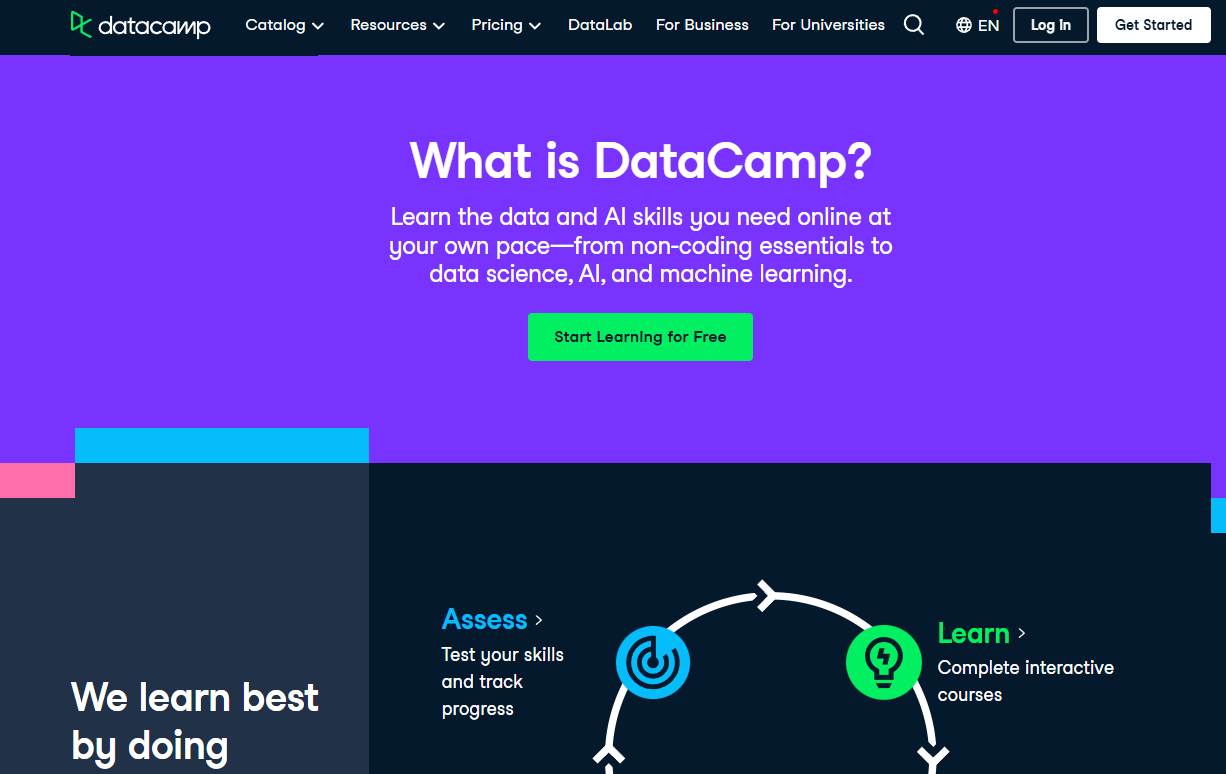 DataCamp Screenshot Website